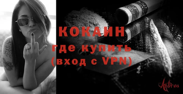 дживик Белокуриха