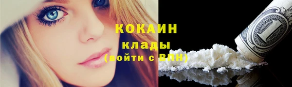 дживик Белокуриха