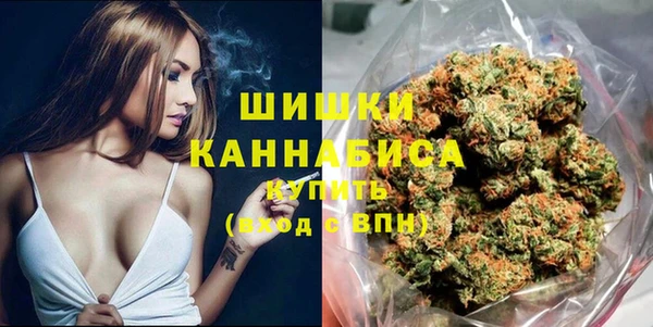 дживик Белокуриха