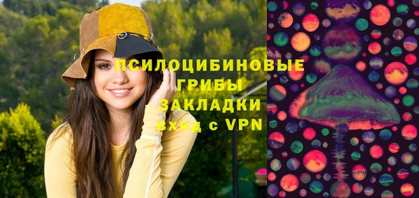 дживик Белоозёрский