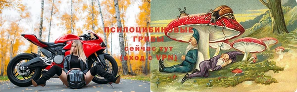 дживик Белоозёрский