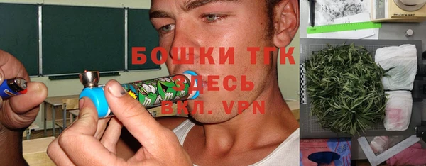дживик Белокуриха