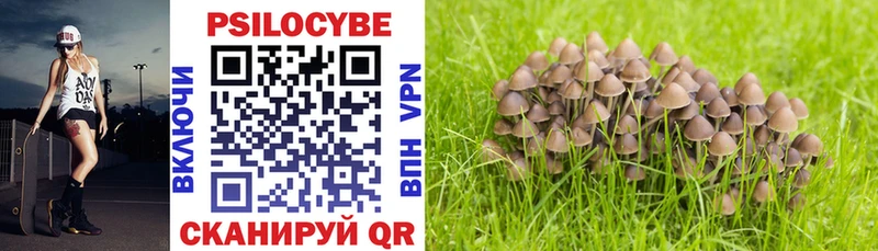 купить наркотики цена  Электроугли  Псилоцибиновые грибы Magic Shrooms 